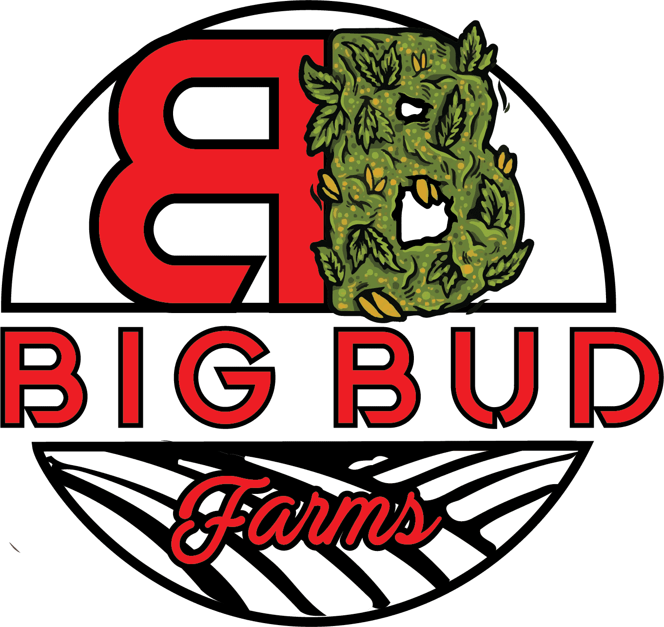 Big Bud Farms Big Bud Farms